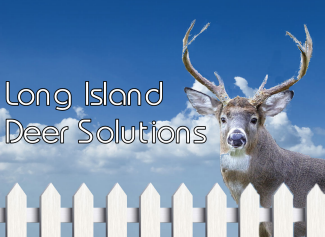 Long Island Deer Solutions Logo